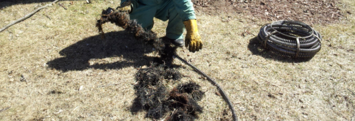 Metro_Detroit_Drain pic showing root removal drain_cleaning sewer_snaking