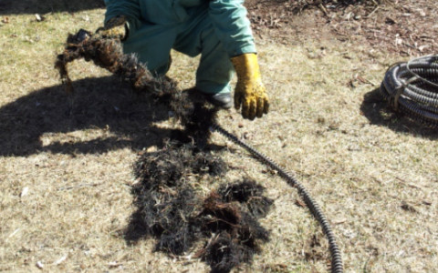Metro_Detroit_Drain pic showing root removal drain_cleaning sewer_snaking